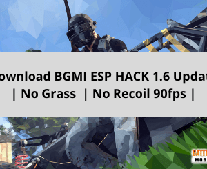 Download BGMI ESP HACK 1.6 Update | No Grass No Recoil 90fps |